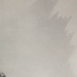 Meet your Posher, Bob